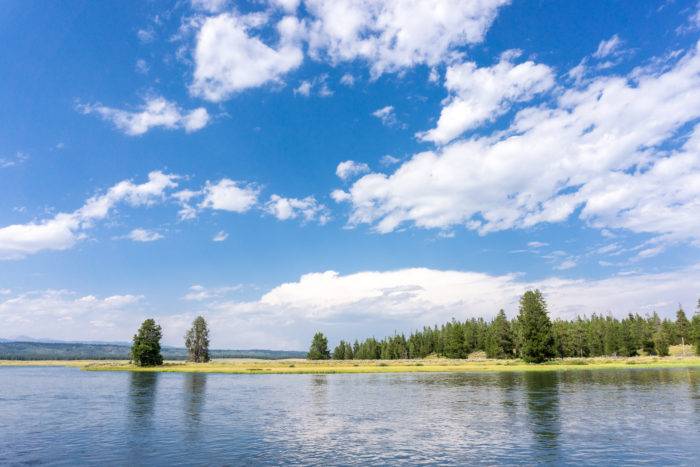 blue lake surrounded by marshland and trees