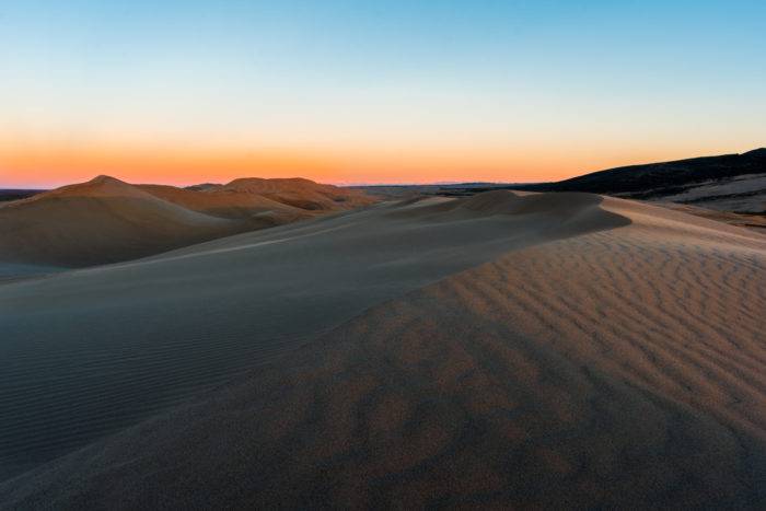 morning light on sand dunes