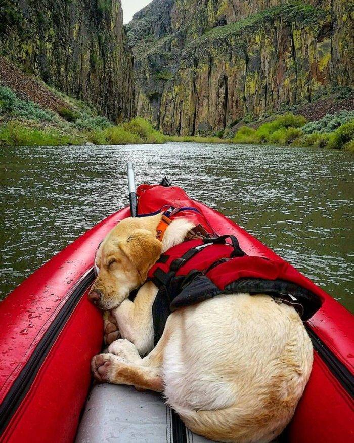 Owyhee River, Idaho. #VisitIdaho Share: @gus_riggins