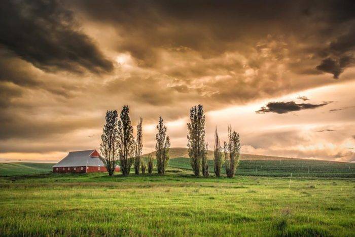 Moscow, Idaho. #VisitIdaho Share: @shotbankphotos