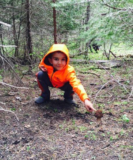 child pointing at morel mushroom