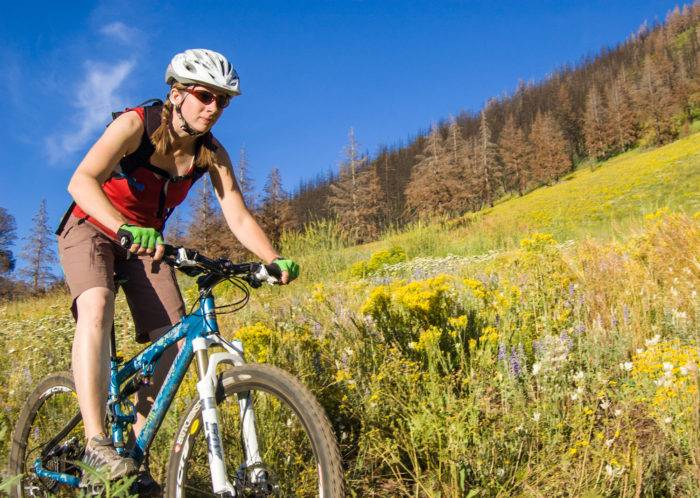 mountain biker riding alongside wildflowers.