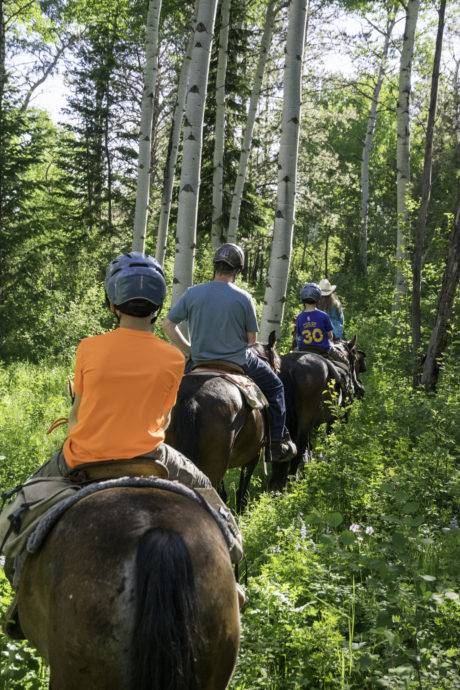 family horseback riding through aspen trees