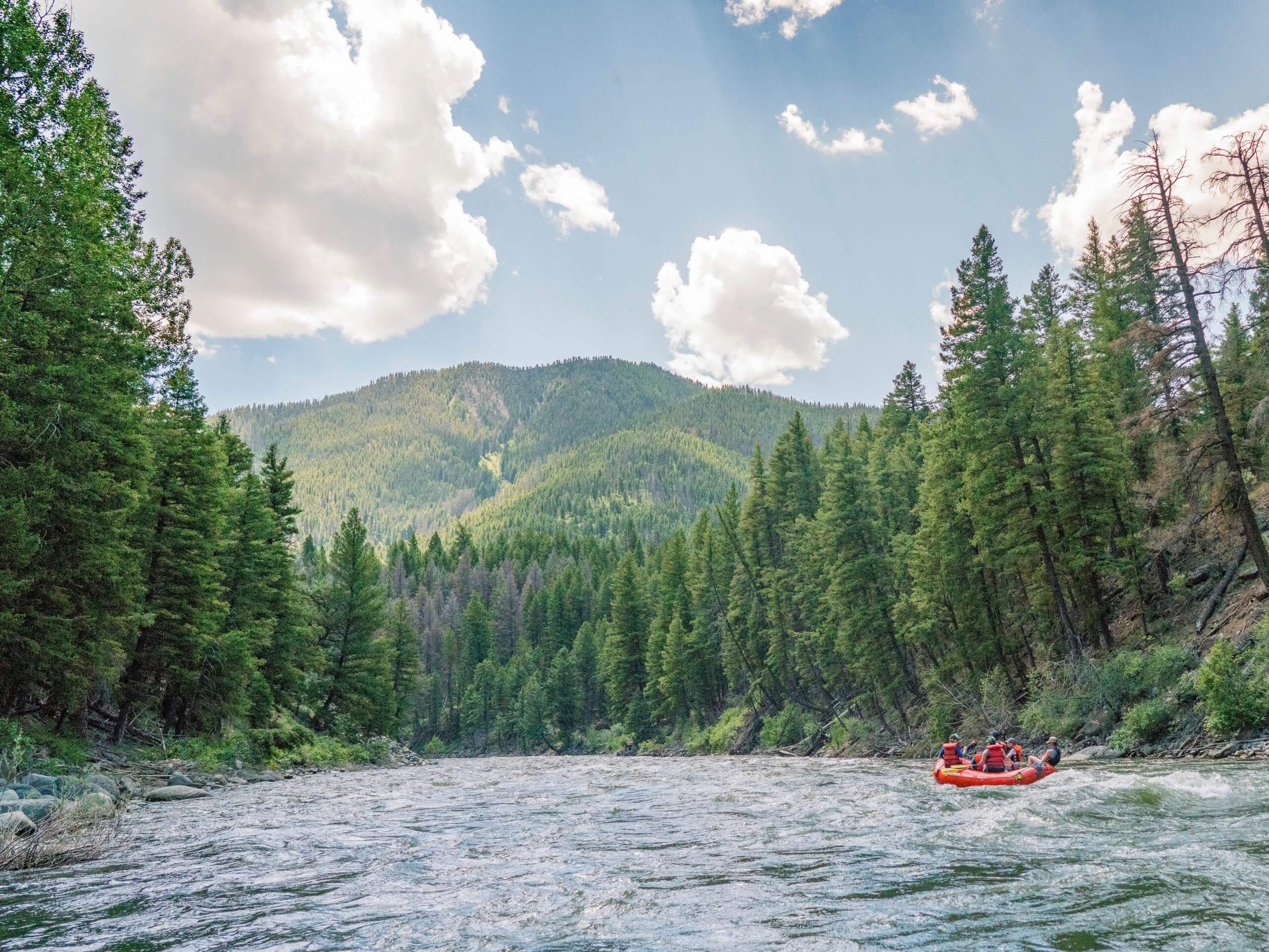 raft floating on river surrounded by trees