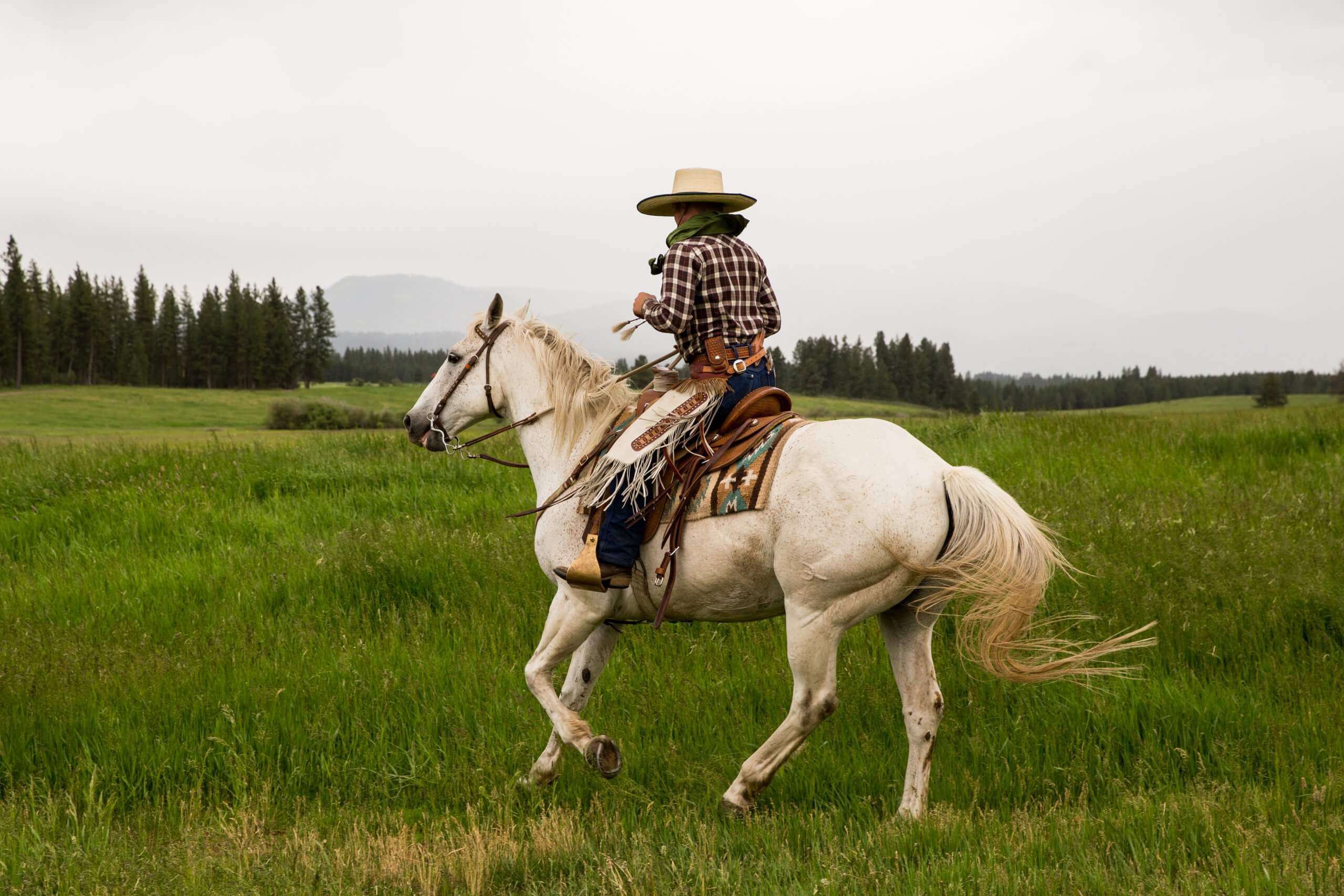 Horseback Riding