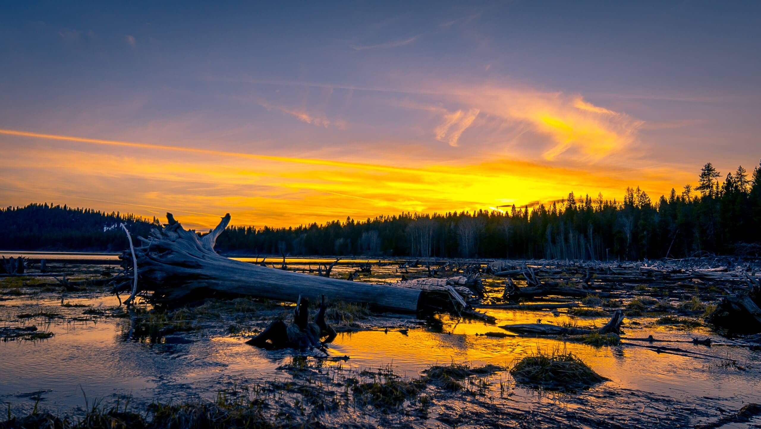 Little Payette Lake, McCall. Photo Credit: Idaho Tourism