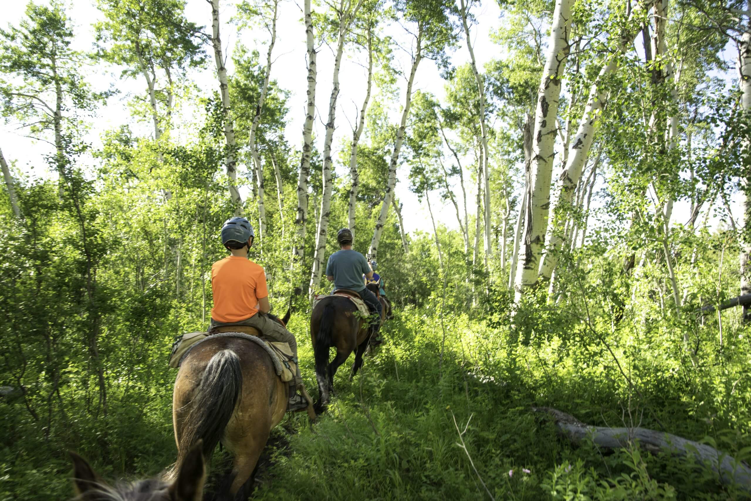 family horseback riding