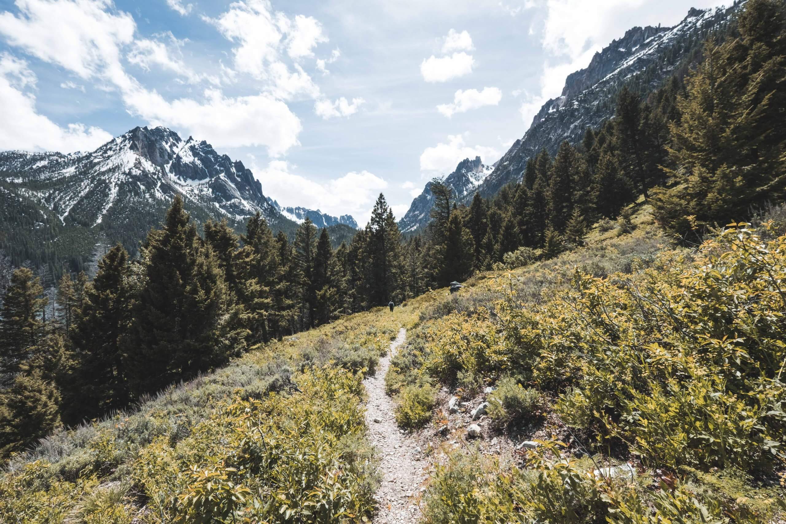 Hiking, Bench Lakes Trail, Near Redfish Lake, Stanley