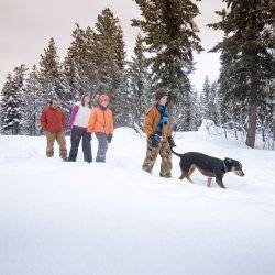 A group of people snowshoeing with their dog through a snow-covered landscape in McCall surrounded by trees.