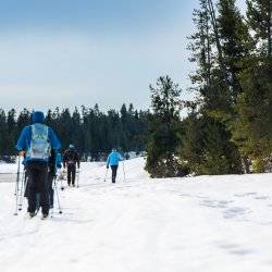 Cross-Country Skiing, Harriman State Park. Photo Credit: Idaho Tourism