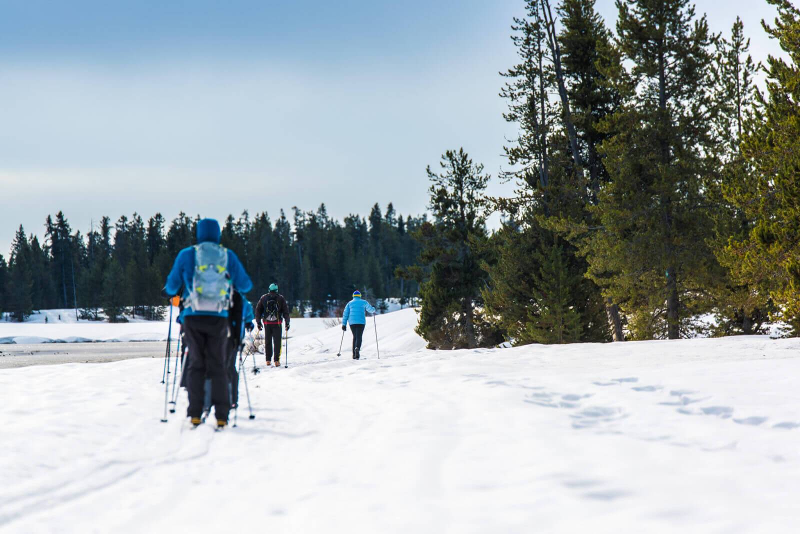 Cross-Country Skiing, Harriman State Park. Photo Credit: Idaho Tourism