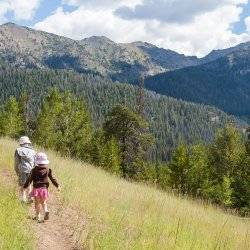 Little kids hiking on a sunny day at Adams Gulch.