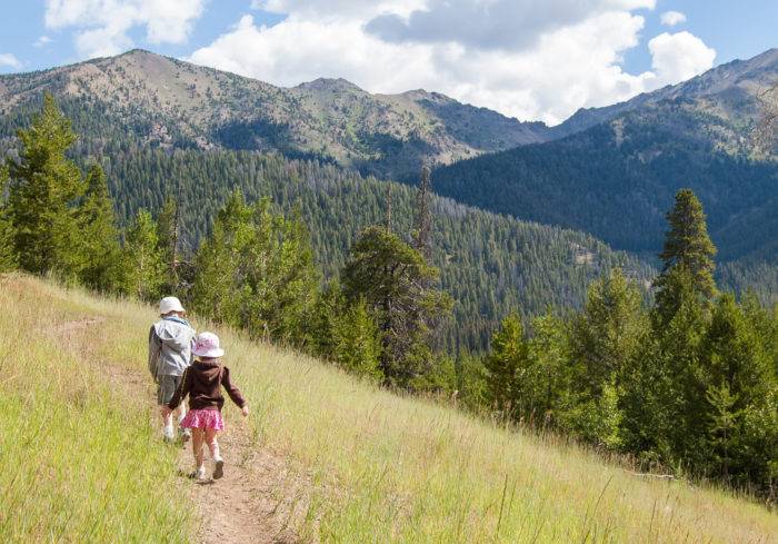 Little kids hiking on a sunny day at Adams Gulch. 