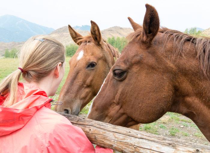 A woman talks up close with two horses at Sun Valley Stables. 