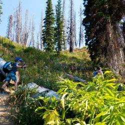 kids hiking in the mountains