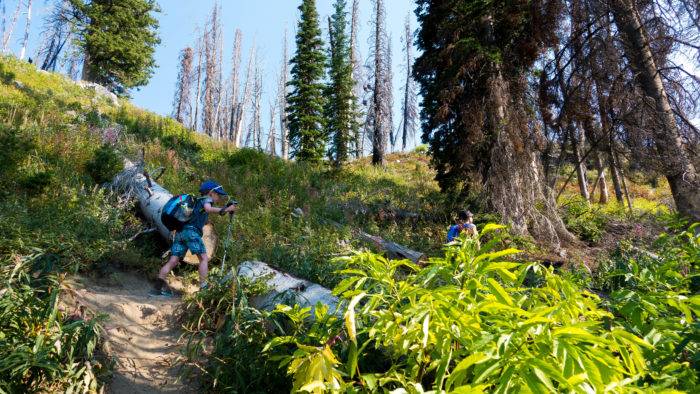 kids hiking in the mountains