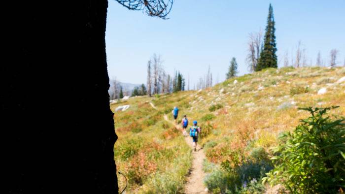 family hiking mountain trail