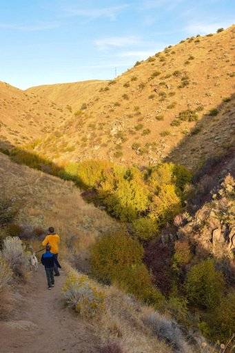 Discover the Best Fall Hikes Near Boise