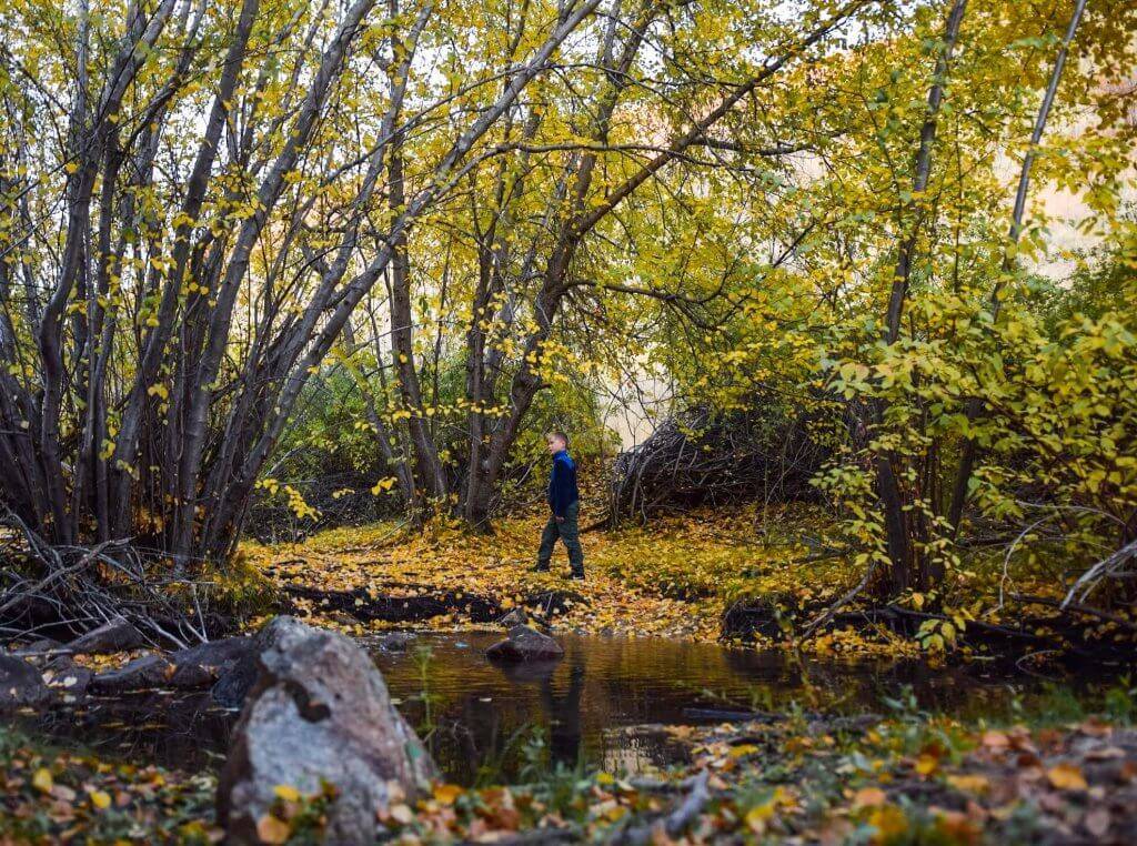 A child near a creek surrounded by fallen leaves at Dry Creek Trail.