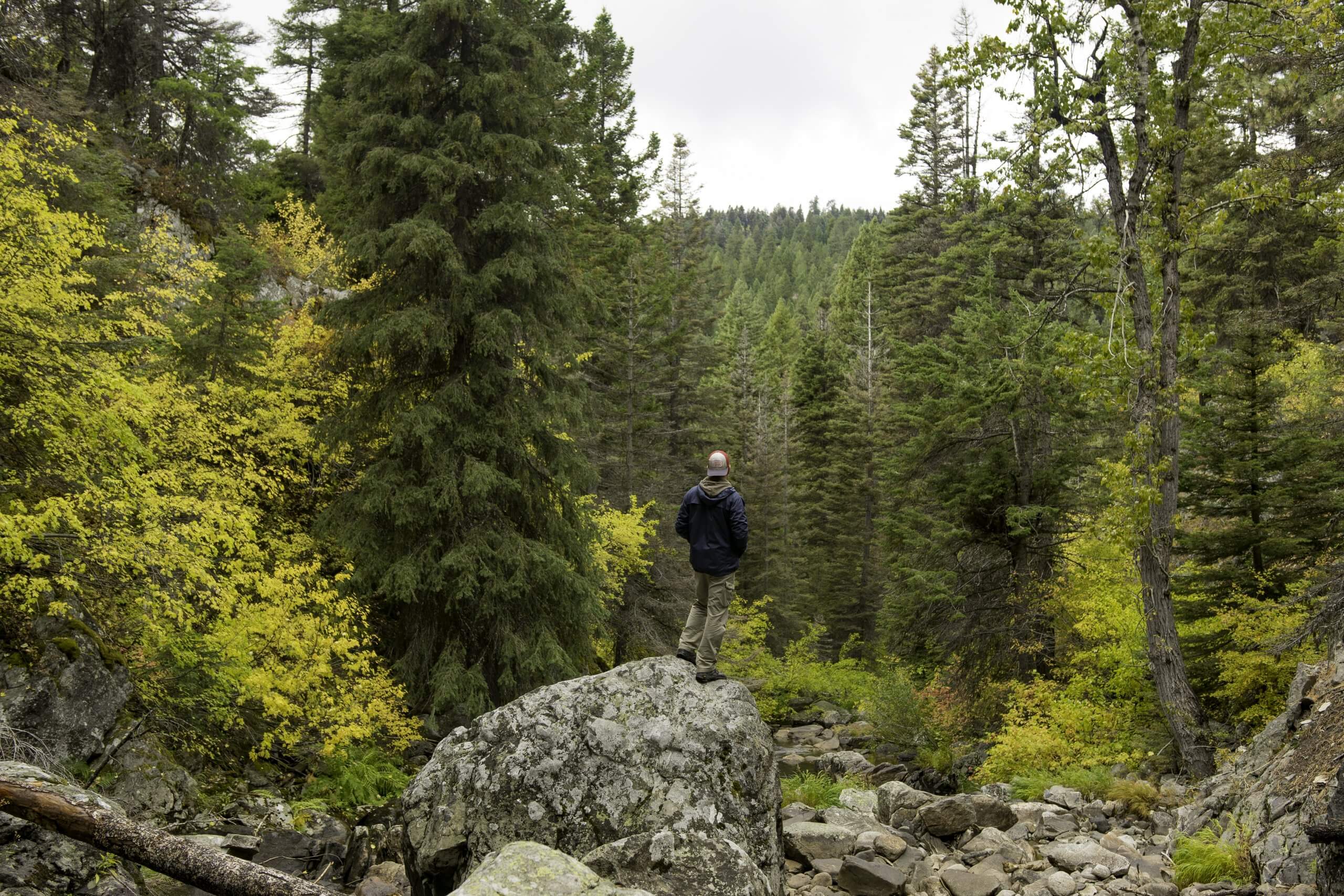 Man standing on a rock surrounded by fall foliage at Goose Creek Falls.