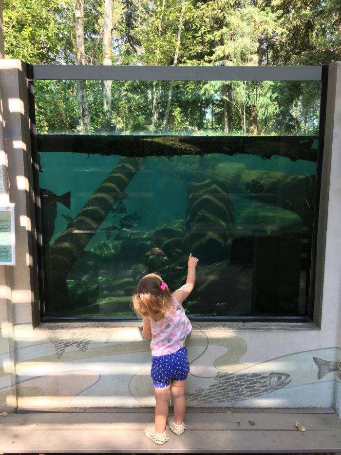 girl in front of fish exhibit