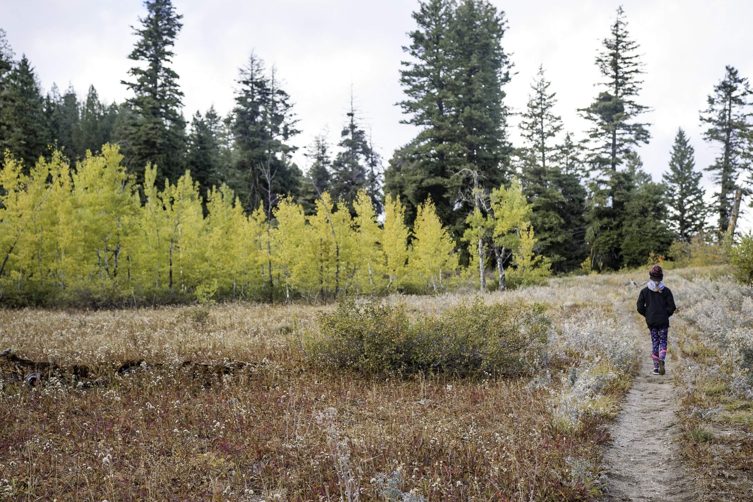 A woman taking a walk at Mores Mountain Trail.