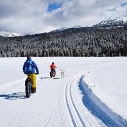 fat tire biking