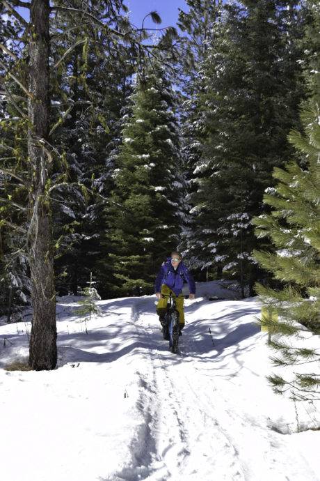 people riding fat bikes