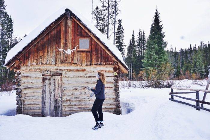 small cabin in the snow