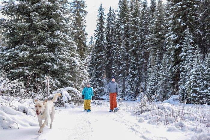 Two people and a dog exploring family-friendly snowshoe trails.