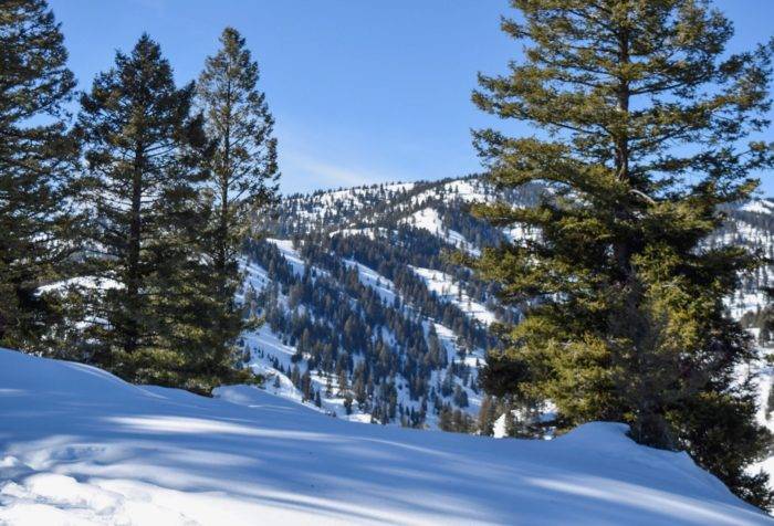 A snowy landscape on the Stargaze Trail.