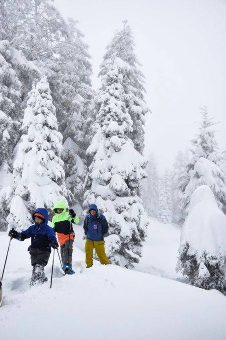 Three people exploring family-friendly snowshoe trails.