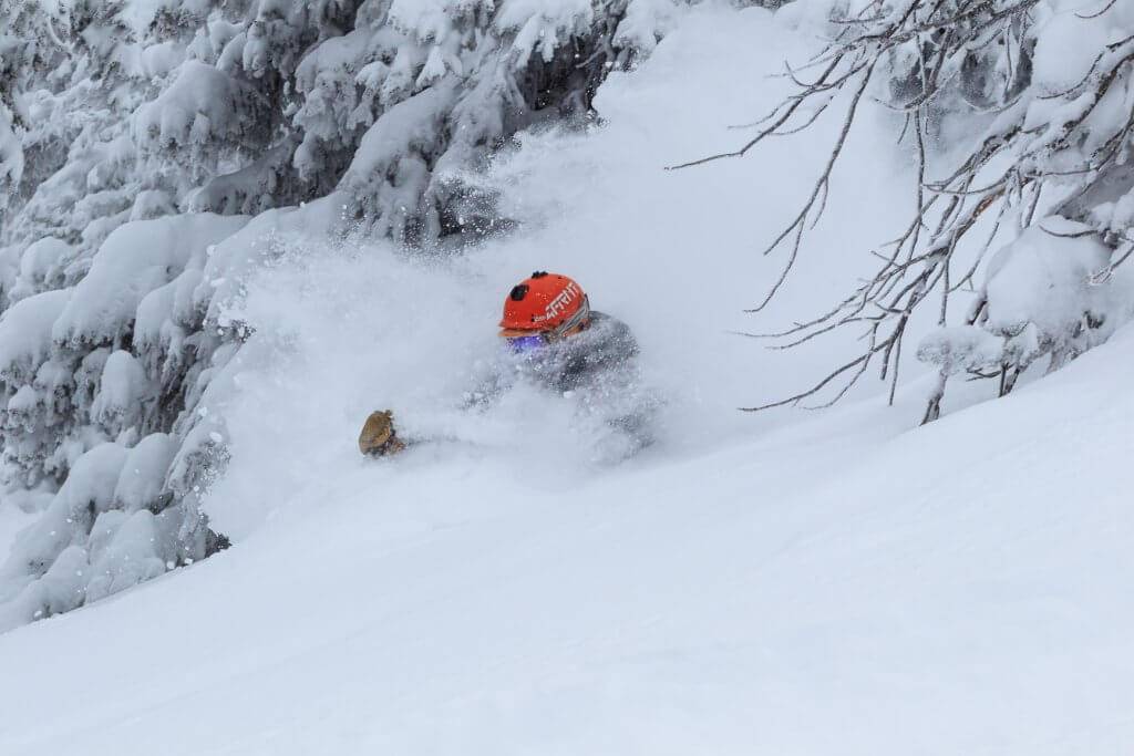 person skiing