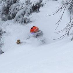 person skiing