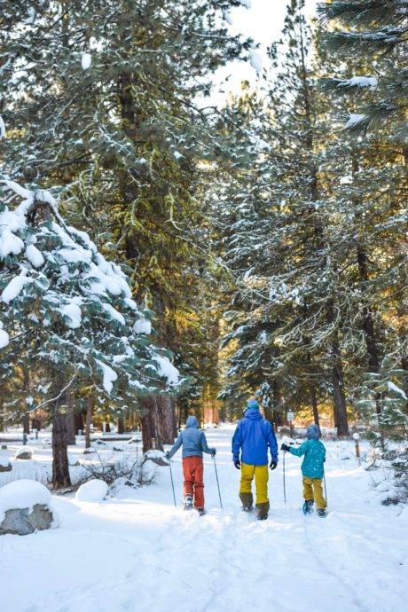 Three people exploring family-friendly snowshoe trails.