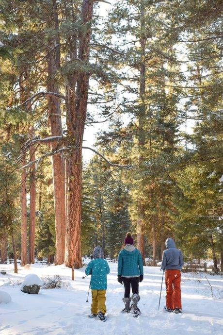 Three people exploring family-friendly snowshoe trails.