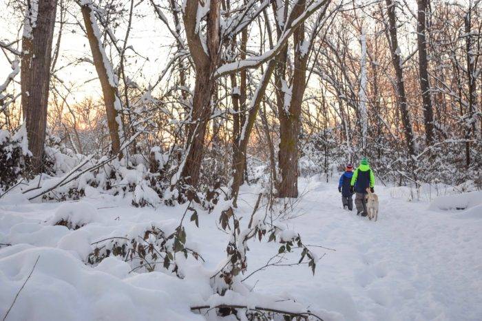 Two people and a dog exploring family-friendly snowshoe trails.