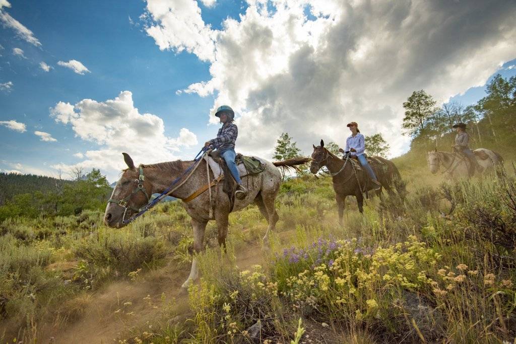 Three women ride horses through wildflowers in the Sawtooth Mountains.