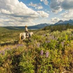 A woman riding a horse through a field of wildflowers, and the Sawtooth Mountains and Redfish Lake in the distance.