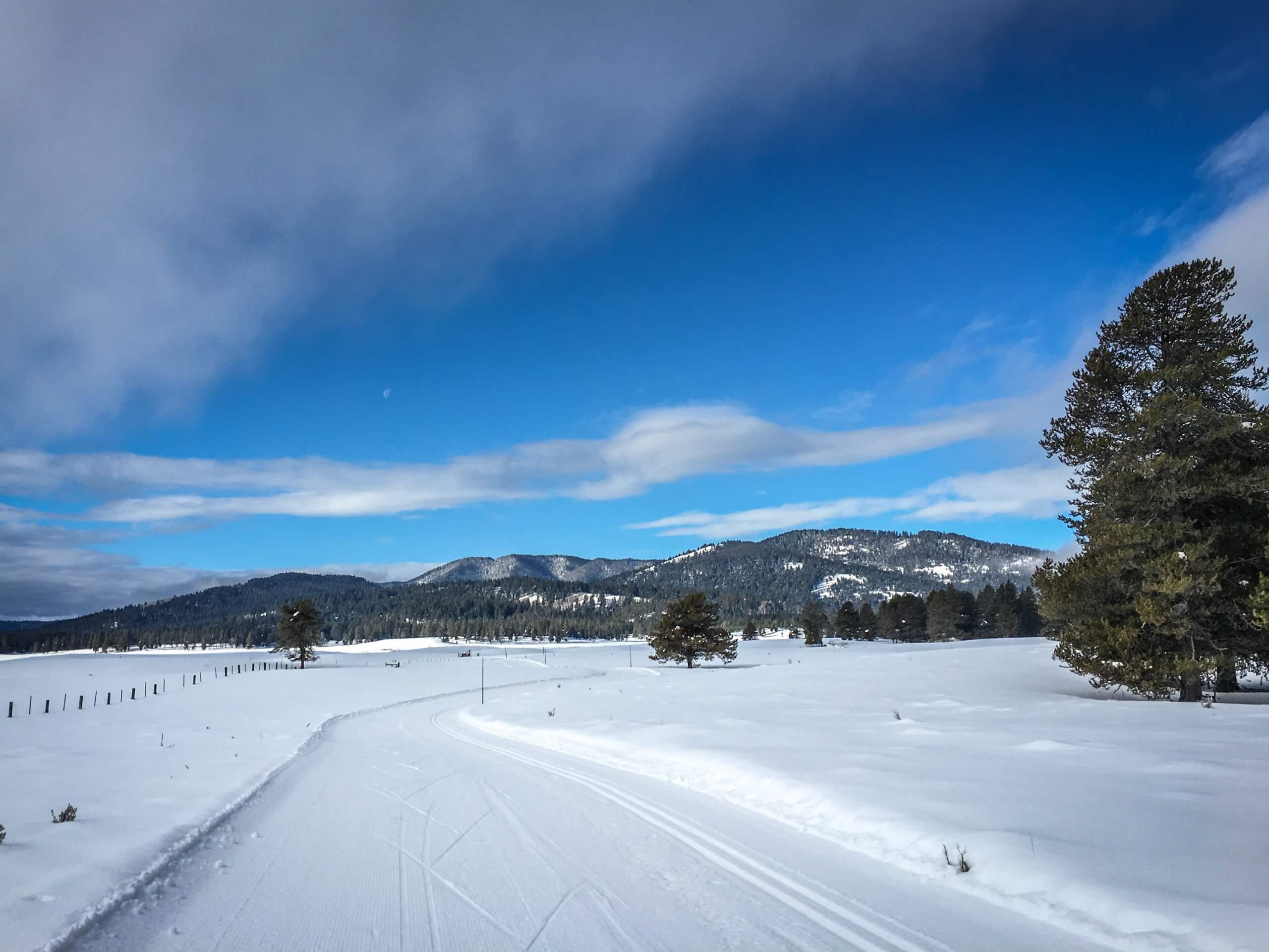 A snow-covered bike trail surrounded by open fields of snow and trees at Harriman State Park.