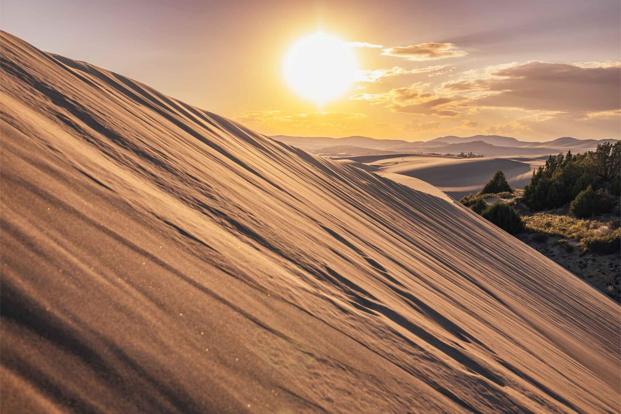 The sunset blazes above the St. Anthony Sand Dunes.