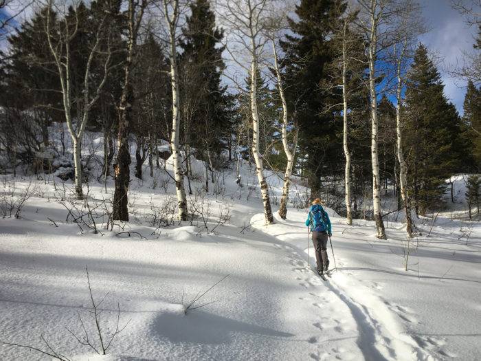 woman cross country skiing