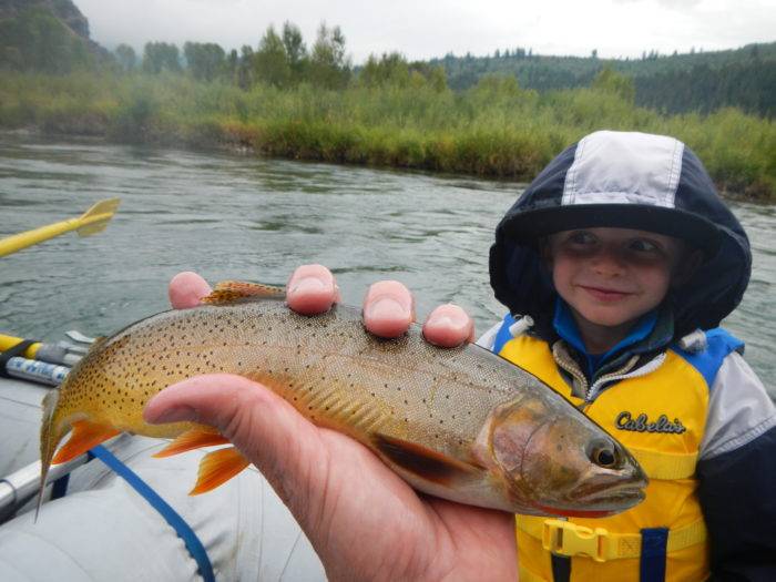 little boy with a fish