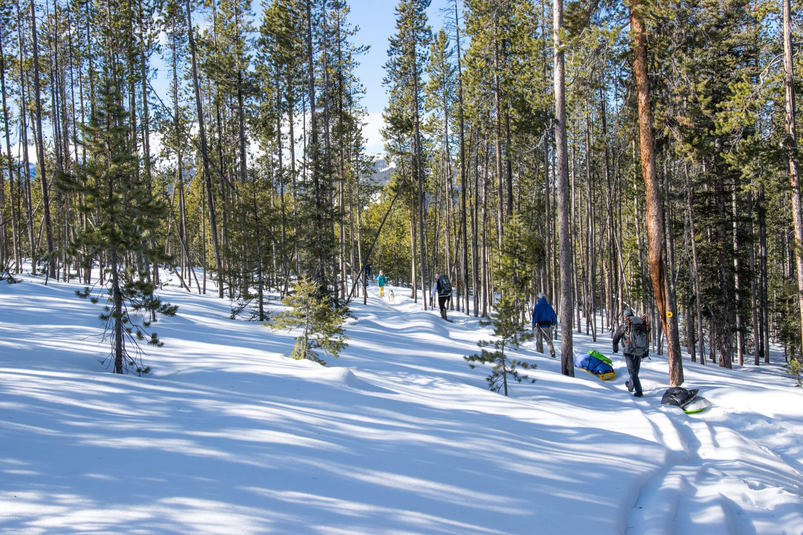 people snowshoeing