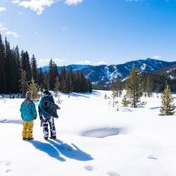 people in the snow