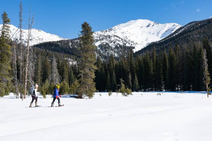 people snowshoeing