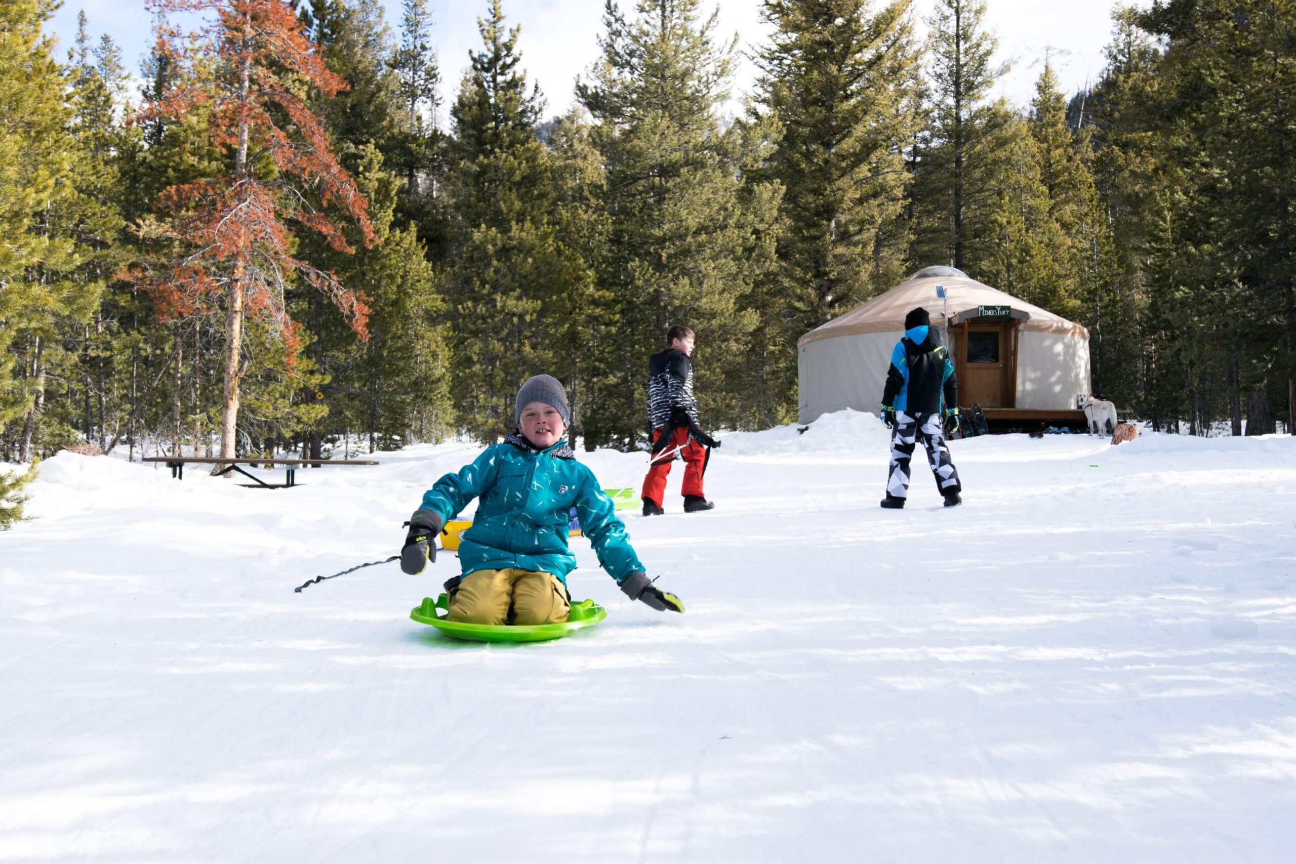 kids sledding in the snow.