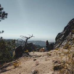 woman and dog on hike