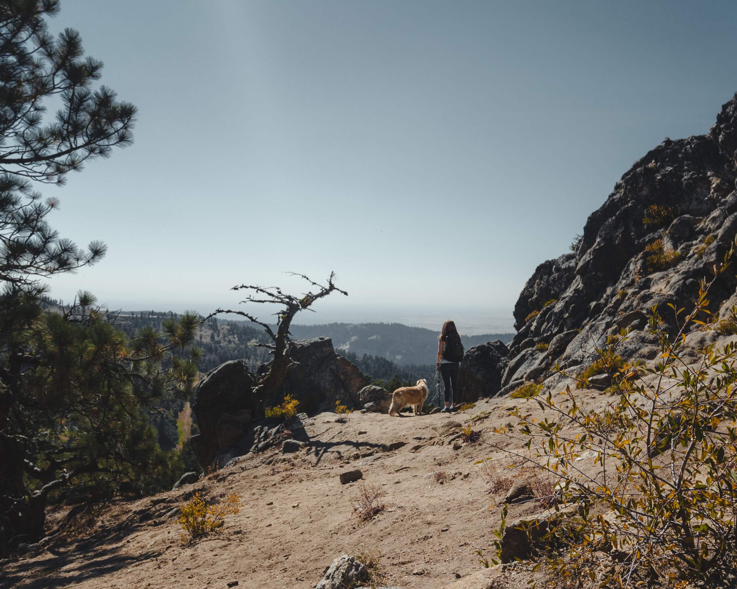 woman and dog on hike