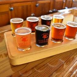 beer flight